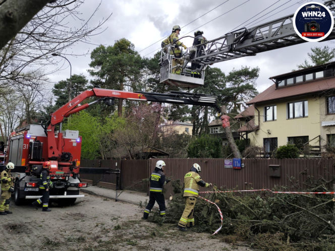 Powalone drzewa i awarie prądu w części województwa