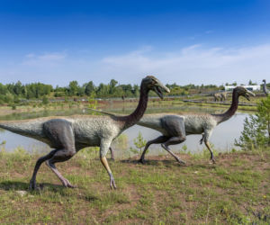 JuraPark Krasiejów