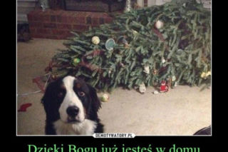 Śmieszne obrazki, które rozbawią każdego