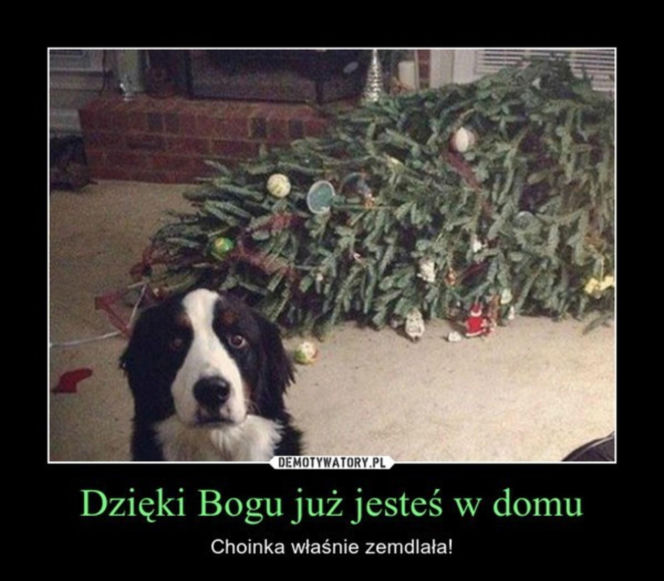 Śmieszne obrazki, które rozbawią każdego