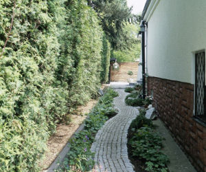 Wąskie fragmenty ogrodu