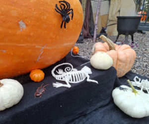 Oto najbardziej halloweenowy dom w Świętokrzyskiem!