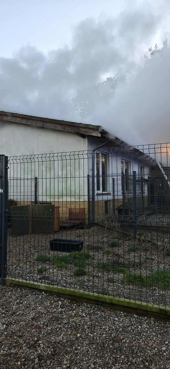 Ogień zmienił schronisko w zgliszcza! Straty są ogromne. „Jesteśmy zdruzgotani”