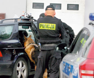 Strzały zatrzymały dilera!