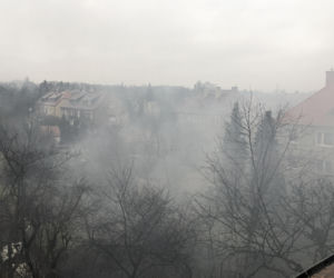 Pożar na wrocławskim Sępolnie we Wrocławiu 