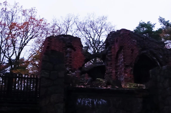 Teren wokół Wieży Quistorpa został uporządkowany