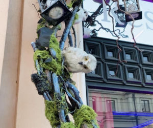 Lokal inspirowany światem Harry’ego Pottera znajdziemy również w samym centrum Bydgoszczy