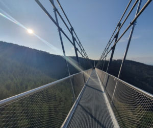 Sky Bridge 721