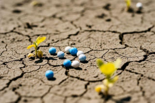 Twoje nawozy działają słabiej? To może być wina zakwaszonej gleby