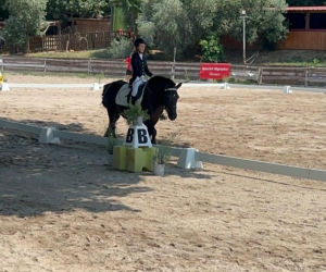 Grand Prix Olimpiad Specjalnych w jeździectwie we Francji