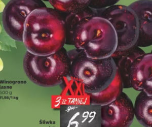 Promocje w Netto