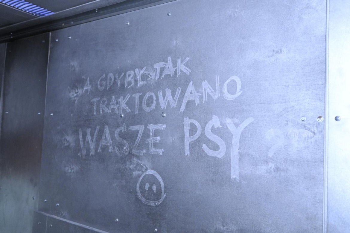 Reporterzy "Super Expressu" zamienili się w świnie. To pierwsze takie miejsce w Polsce. Nietypowy escape room w Warszawie
