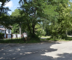 Poszukiwania węża