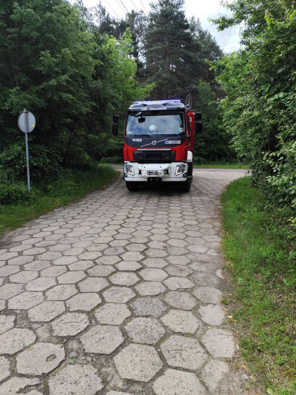 Staruszka wjechała samochodem do stawu! Dramatyczna akcja strażaków