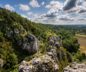 Bolechowice
