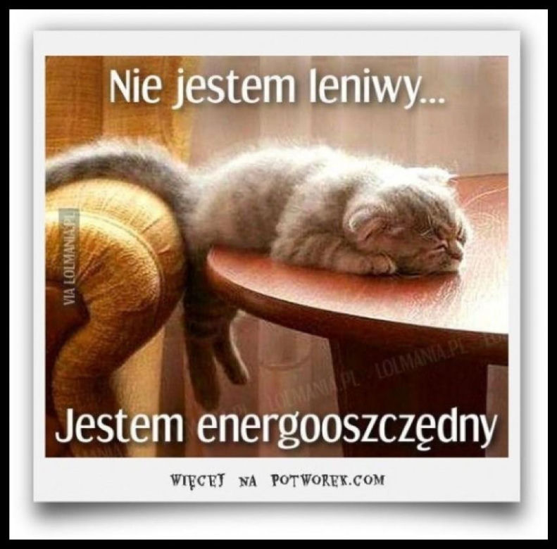 Chcesz poprawić sobie humor? Te memy ze zwierzętami rozbawią cię do łez!