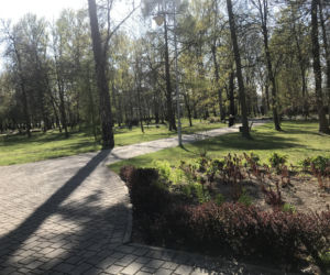 Katowice: Tłumy w Parku Kościuszki. Mieszkańcy ruszyli na spacery