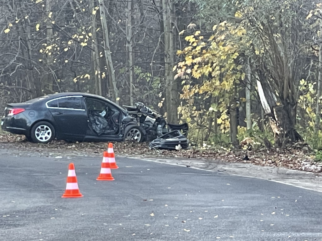 Auto rozwalone o drzewo. Nie żyje pasażerka, kierowca zwiał