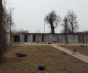 Schronisko Arka w Łomży