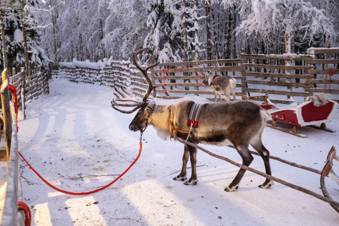 Gdzie mieszka święty Mikołaj? Wioska Mikołaja w Rovaniemi