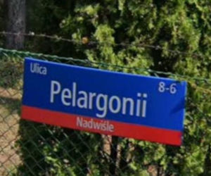 Oto najbardziej wiosenne ulice w stolicy! Tu wiosna trwa cały rok!