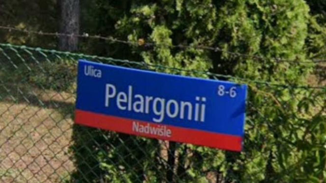 Oto najbardziej "wiosenne" ulice w stolicy! Tu wiosna trwa cały rok!