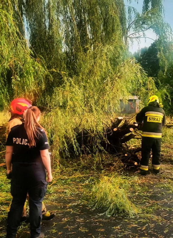 Krajobraz jak po apokalipsie! Potężna burza w Dęblinie. Drzewa miażdżyły samochody