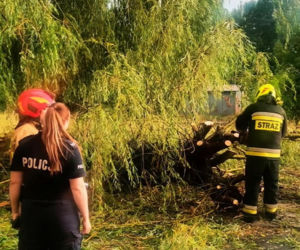 Krajobraz jak po apokalipsie! Potężna burza w Dęblinie. Drzewa miażdżyły samochody