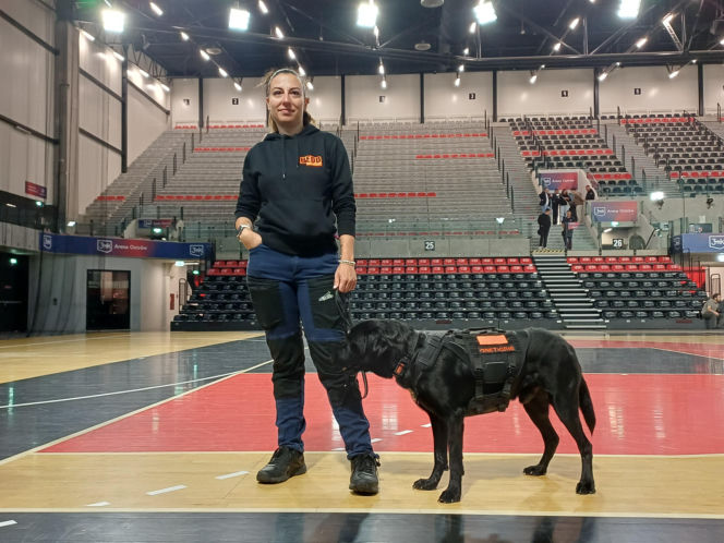 Psy służbowe, szkolenia i strefa pierwszej pomocy. Trwa drugi dzień CERBERUS K9 w Ostrowie