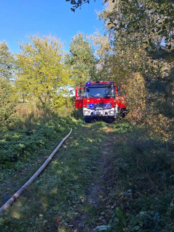 Pożar