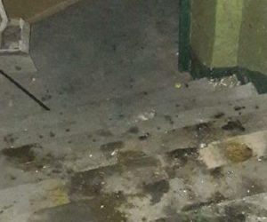 Poznań: Odkryto kolejne nielegalne wysypiska śmieci!