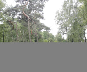 pierwsze zdjęcia z powązek - przed pogrzebem
