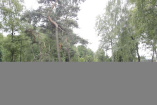 pierwsze zdjęcia z powązek - przed pogrzebem
