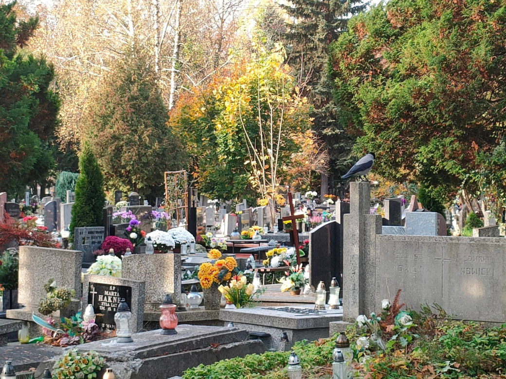 Cmentarz „Doły”. Łodzianie zadbali o to miejsce [ZDJĘCIA]
