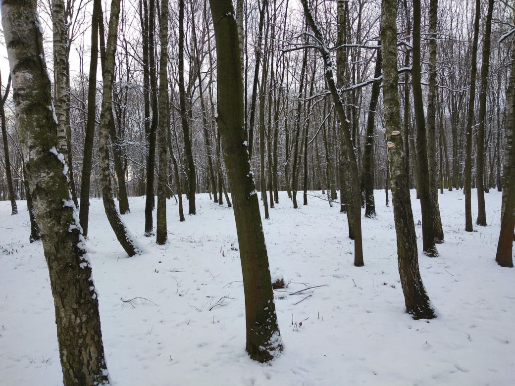 Śnieg zasypał Tarnów, teraz czas na mróz. Będzie PRZEŹLIWIE zimno