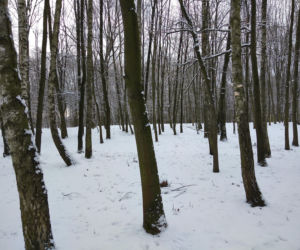 Śnieg zasypał Tarnów, teraz czas na mróz. Będzie PRZEŹLIWIE zimno