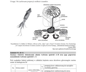 Matura 2018 z biologii [ARKUSZE CKE, ODPOWIEDZI]
