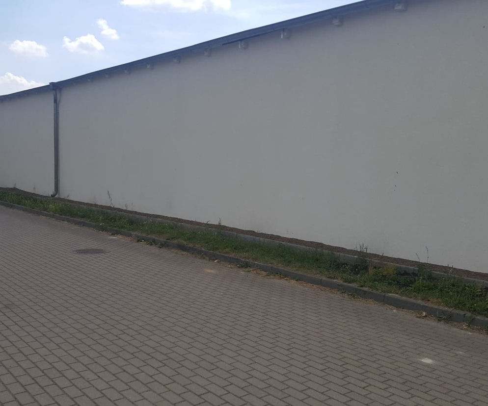 mural