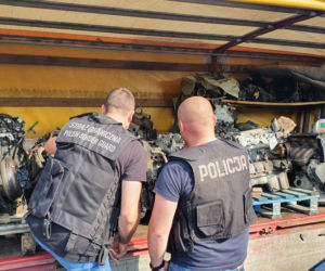 Rozbita dziupla samochodowa na terenie gminy Majdan Królewski
