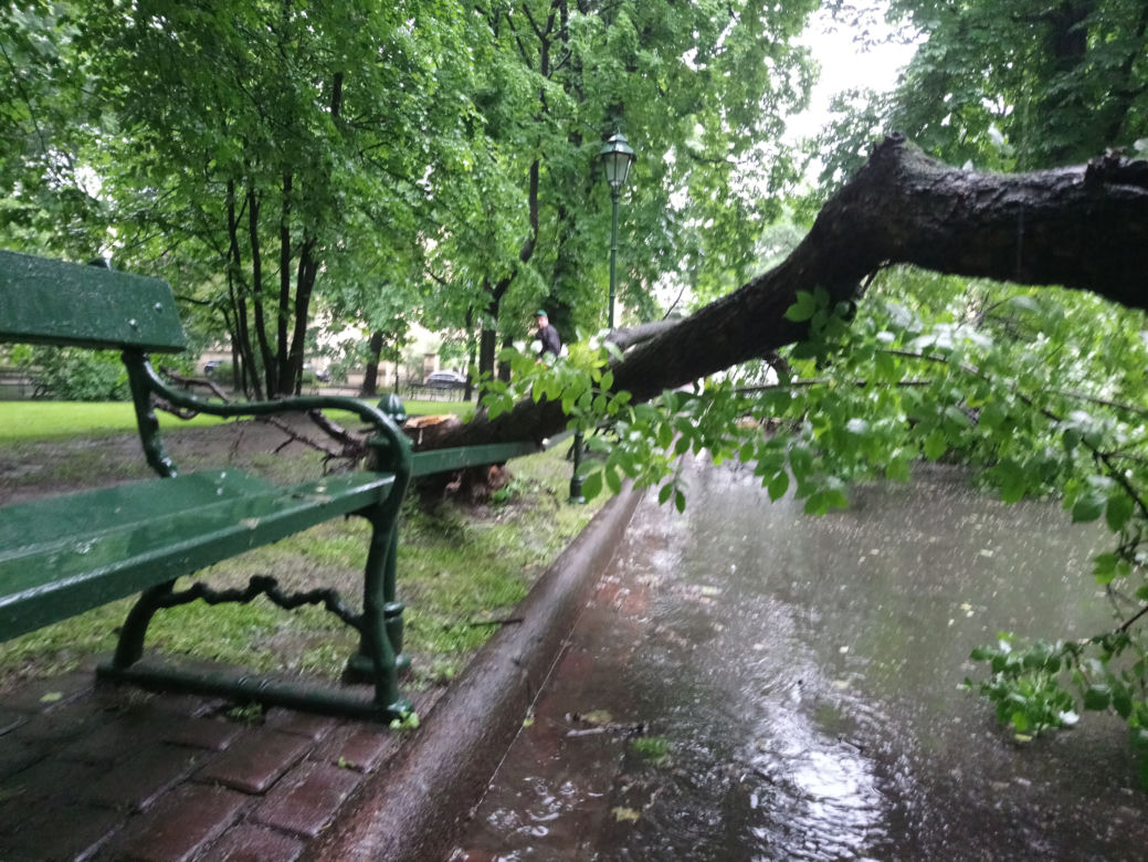 Nawałnica nad Krakowem. Powyrywane drzewa na Plantach