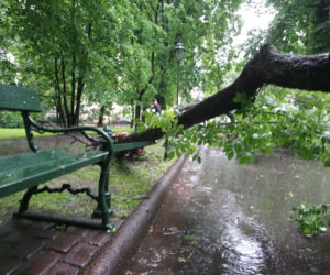 Nawałnica nad Krakowem. Powyrywane drzewa na Plantach