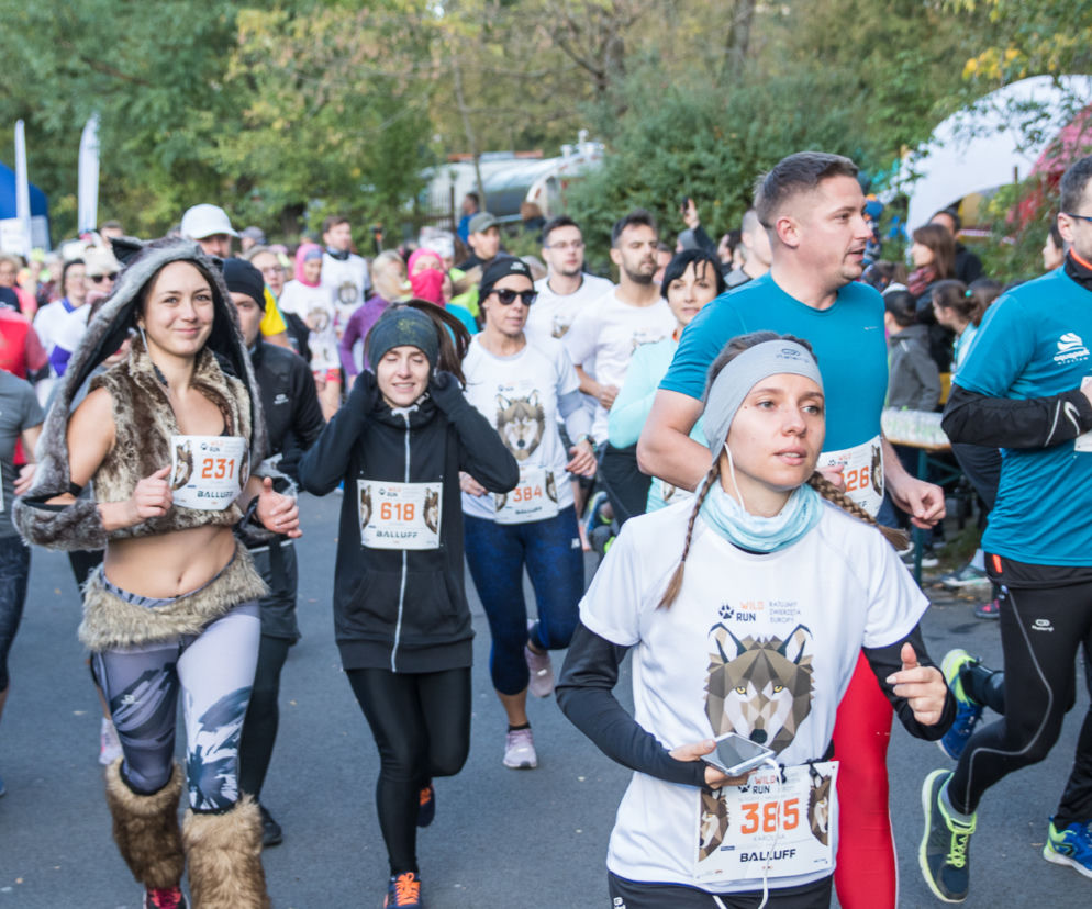 Wild Run 2019. Znamy zwycięzców charytatywnego biegu we wrocławskim zoo