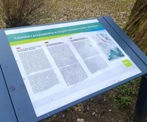 Wandalizm w lapidarium