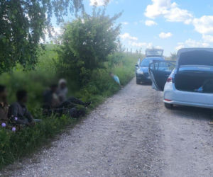 47 migrantów zatrzymanych na granicy. Komunikat Straży Granicznej