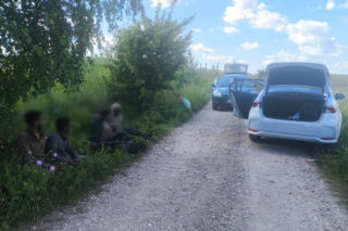 47 migrantów zatrzymanych na granicy. Komunikat Straży Granicznej