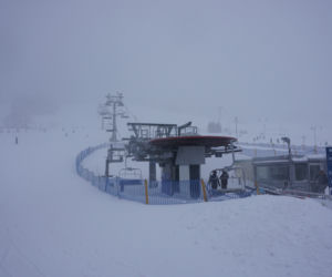 Zieleniec