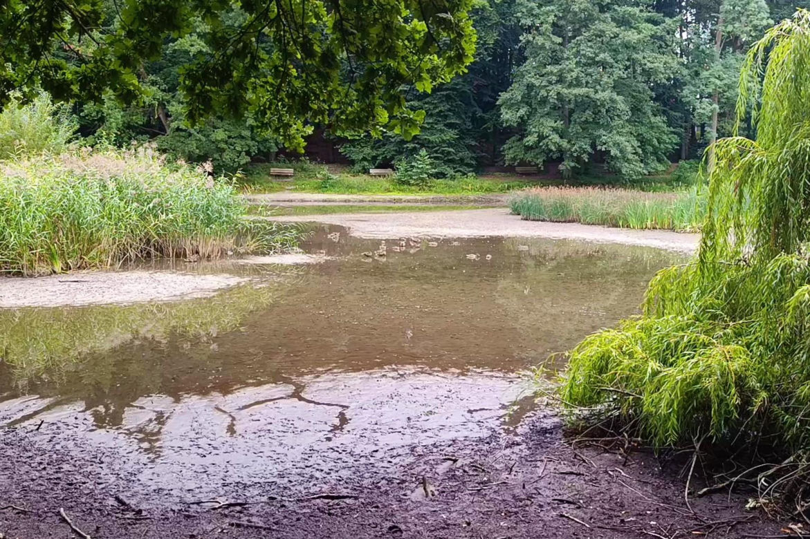 Wyschnięty Staw Wędkarski w Szczecinie