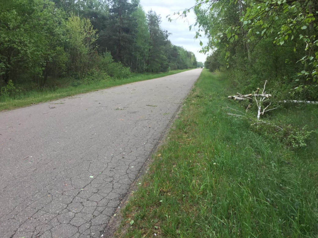 Silny wiatr w Polsce. Blisko 7 tys. odbiorców z Podlasia bez prądu [ZDJĘCIA]