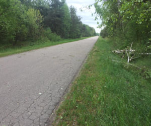Silny wiatr w Polsce. Blisko 7 tys. odbiorców z Podlasia bez prądu [ZDJĘCIA]