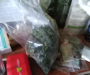 19-latek z Bydgoszczy złapany na gorącym uczynku. Akurat w szafie suszył konopie! 
